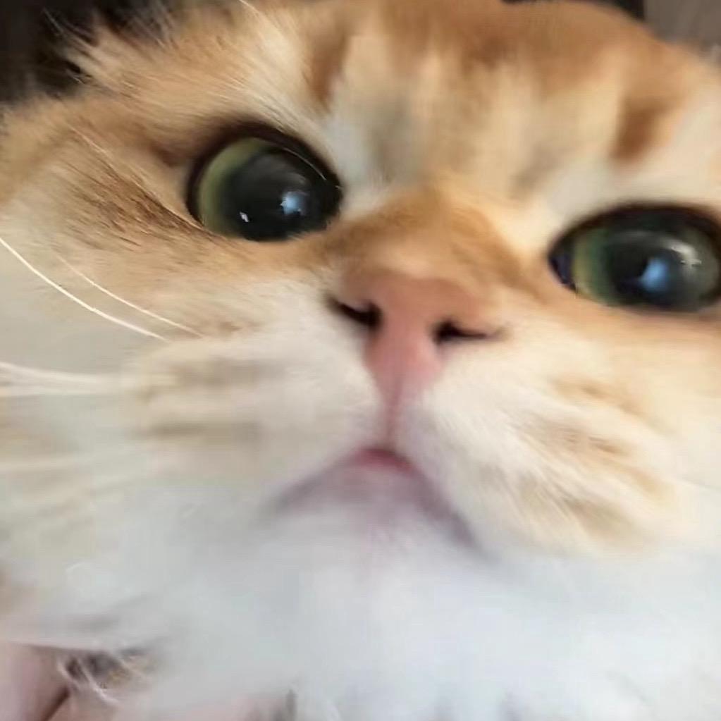 小小亦