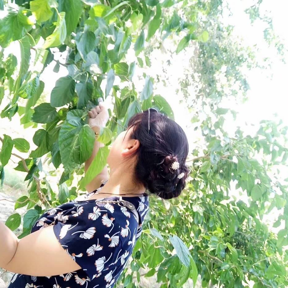 晓红（69年7月鸡）