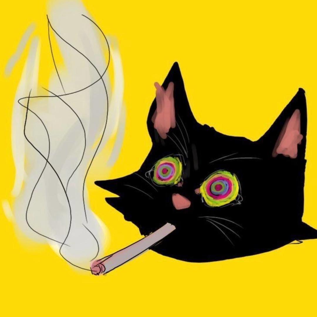 huahuahua