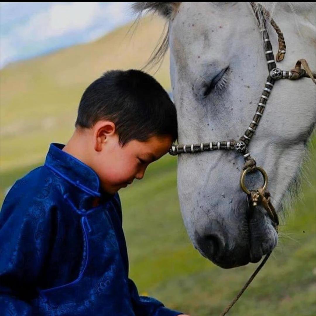 mgl外贸休闲装蒙古