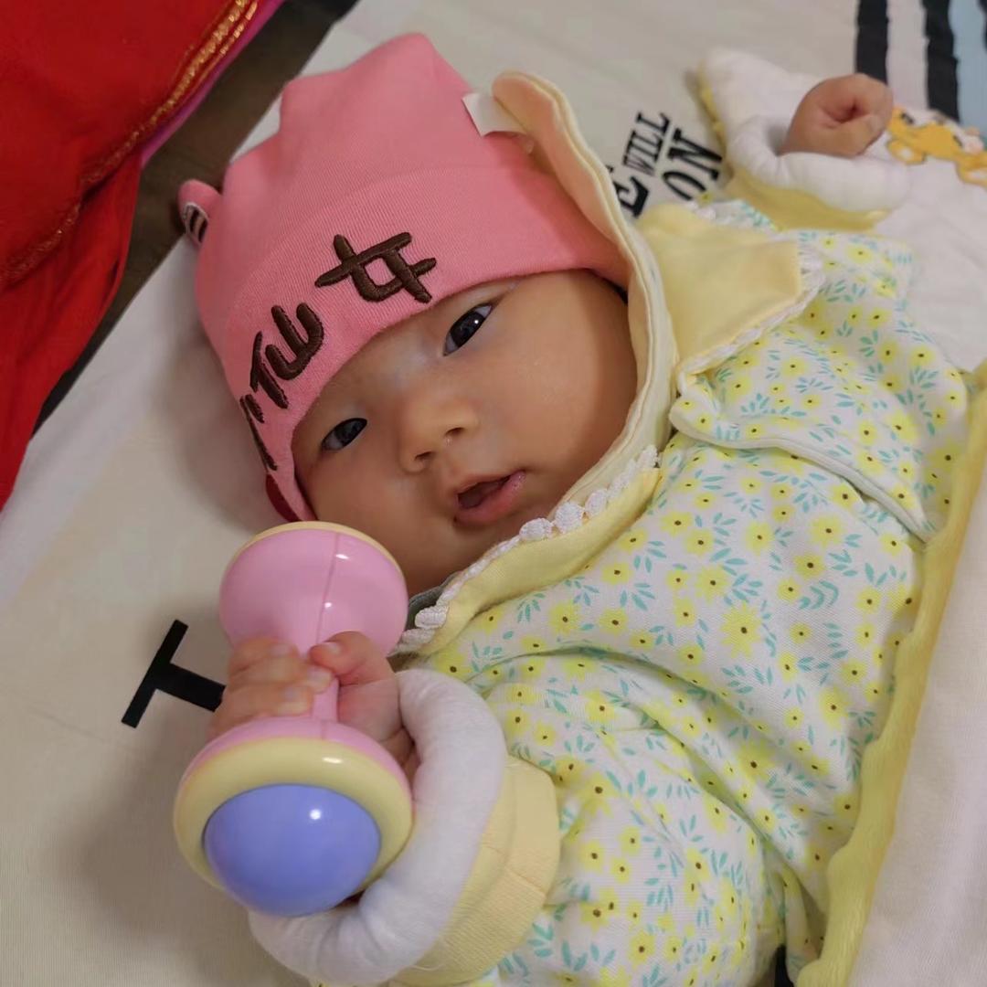 樱桃成长记