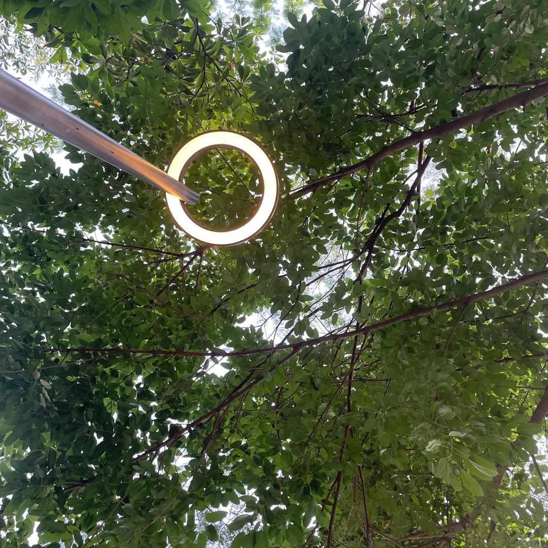 路人甲go