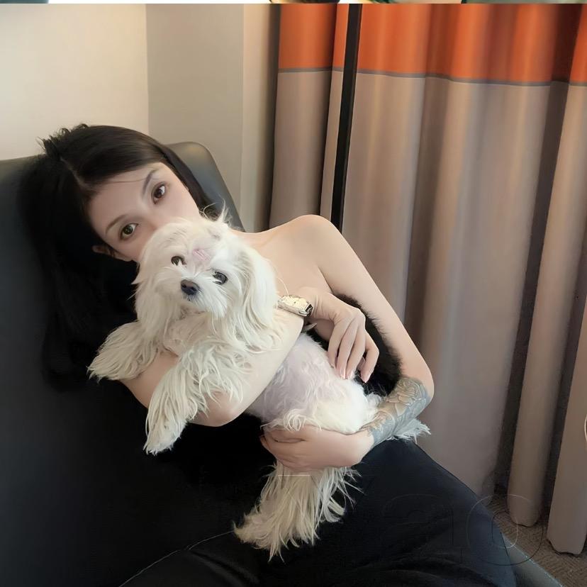 杨杨&