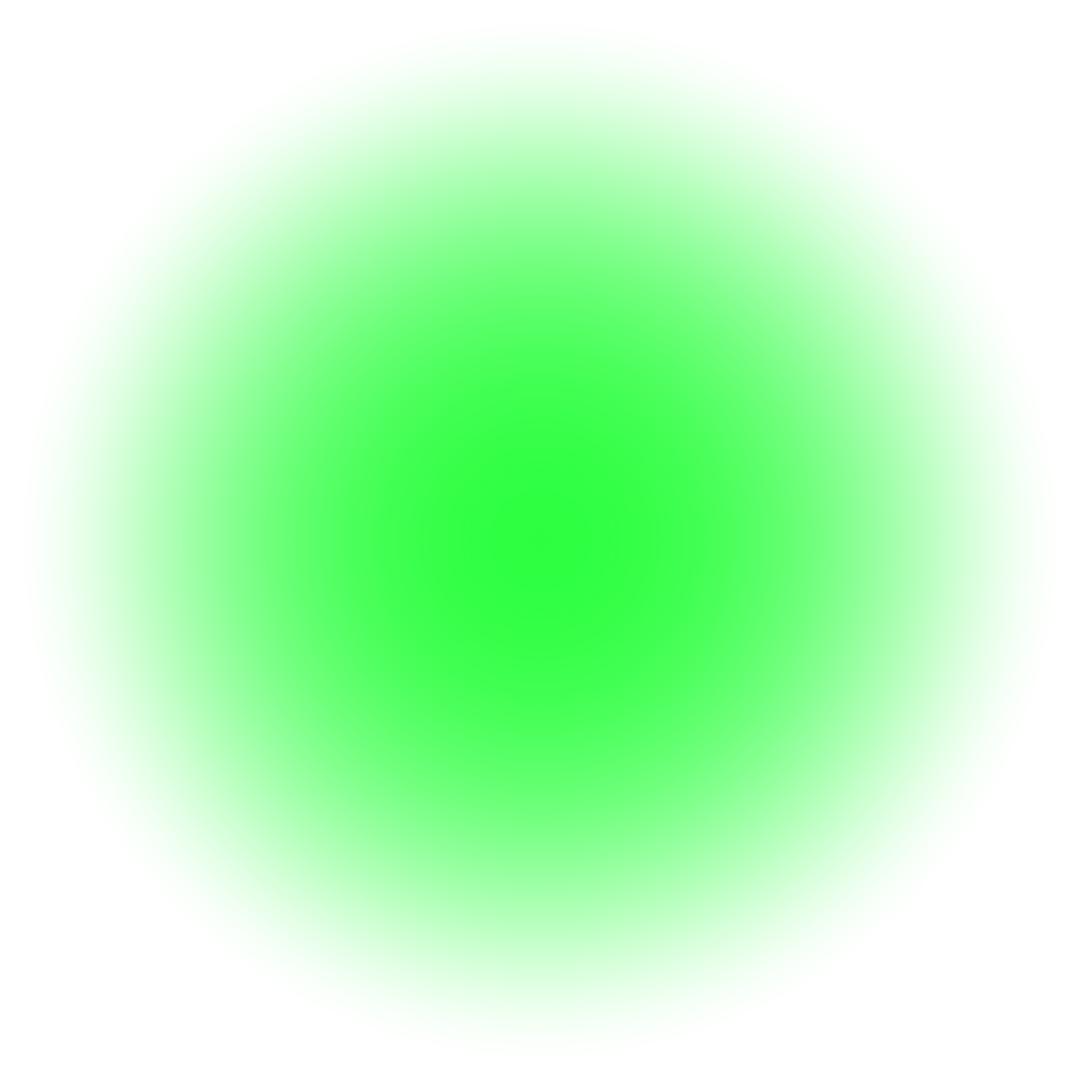 𝒀𝑰𝑨𝑵𝑵𝑰.