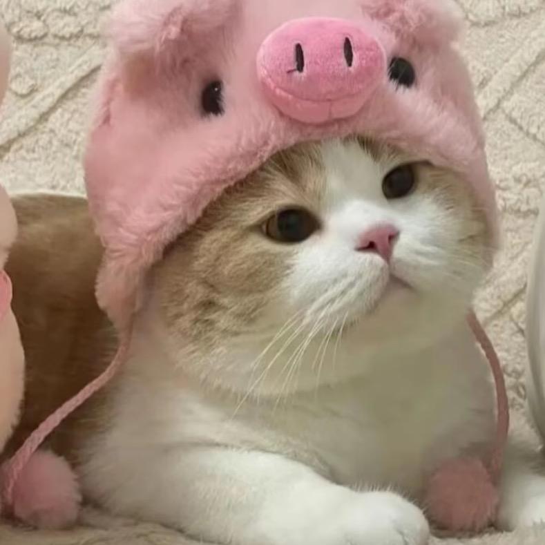 楠楠楠