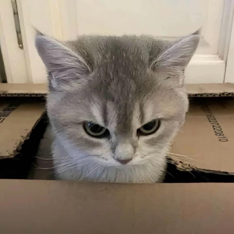 妞少