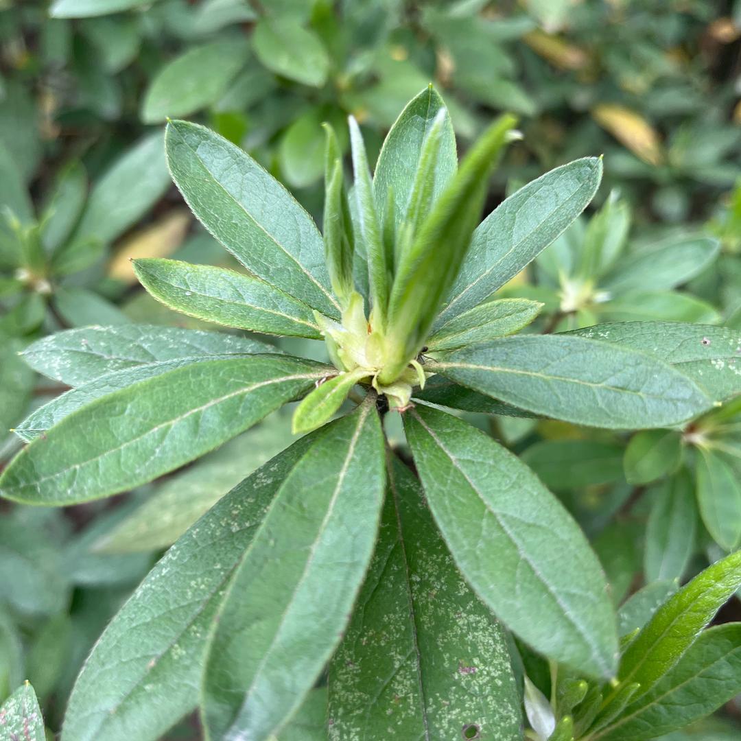 明耀鑫垚好物精选