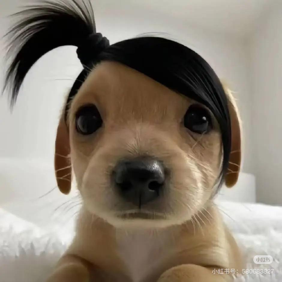 腋毛香