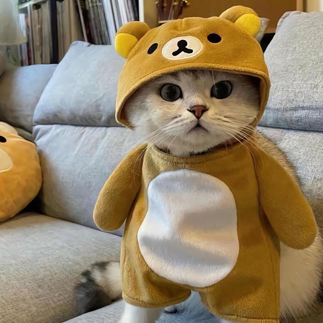 耶汁.