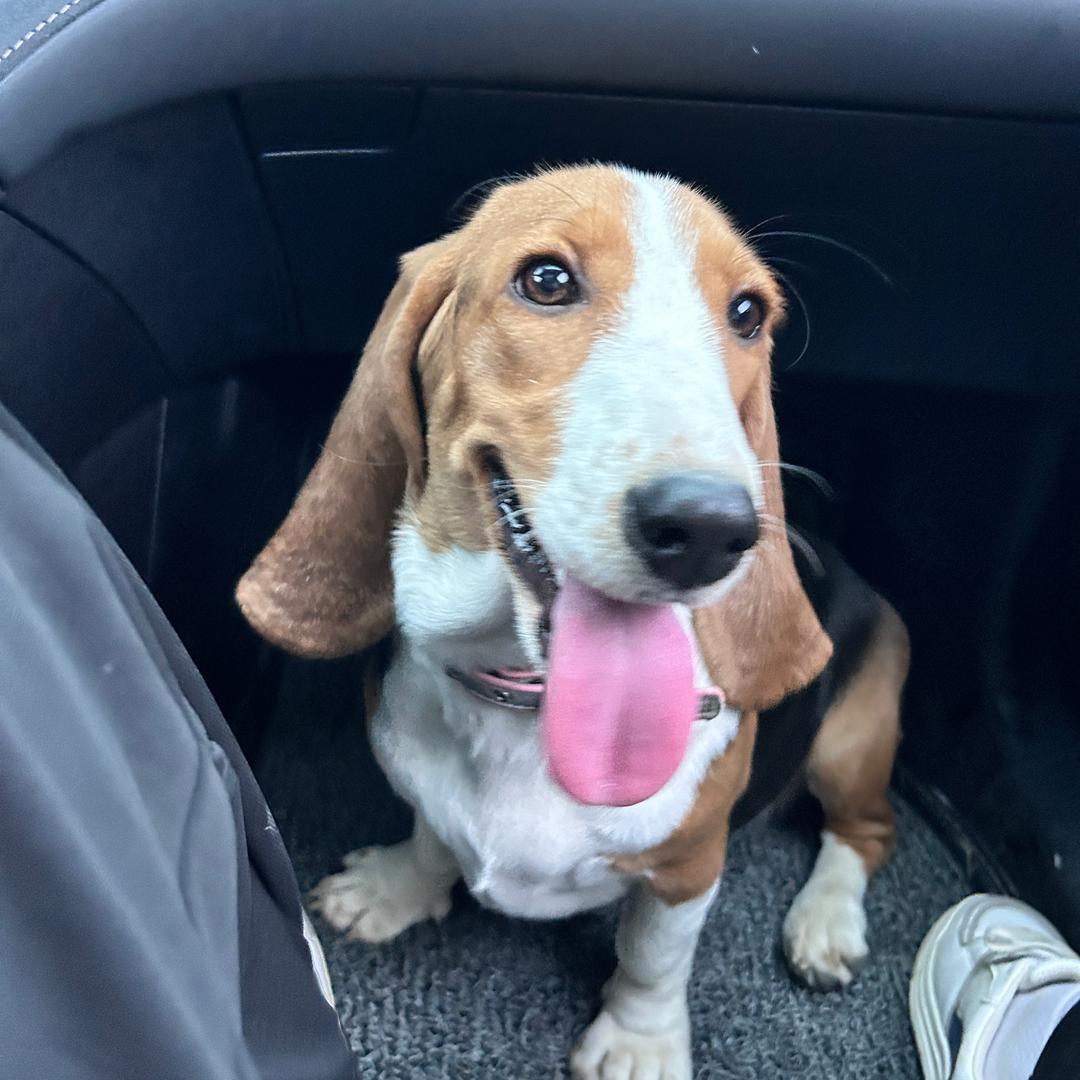 @80后小女【吕】子