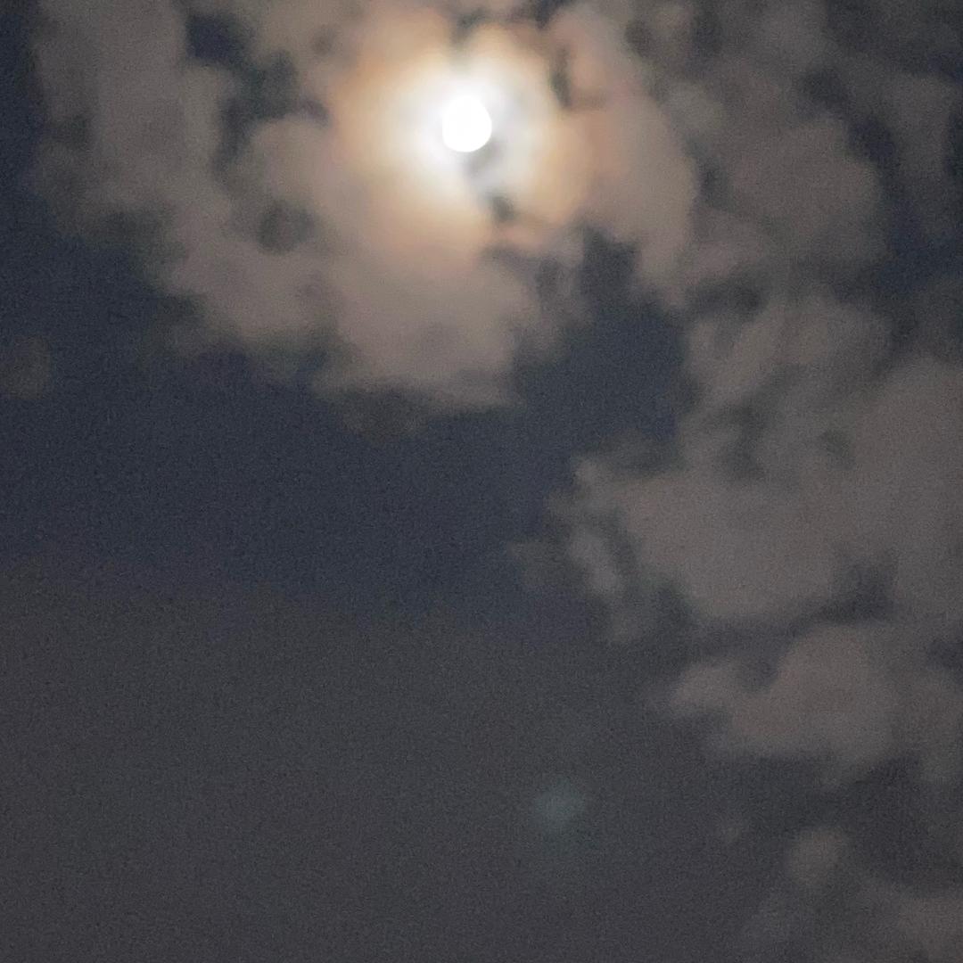 世衡