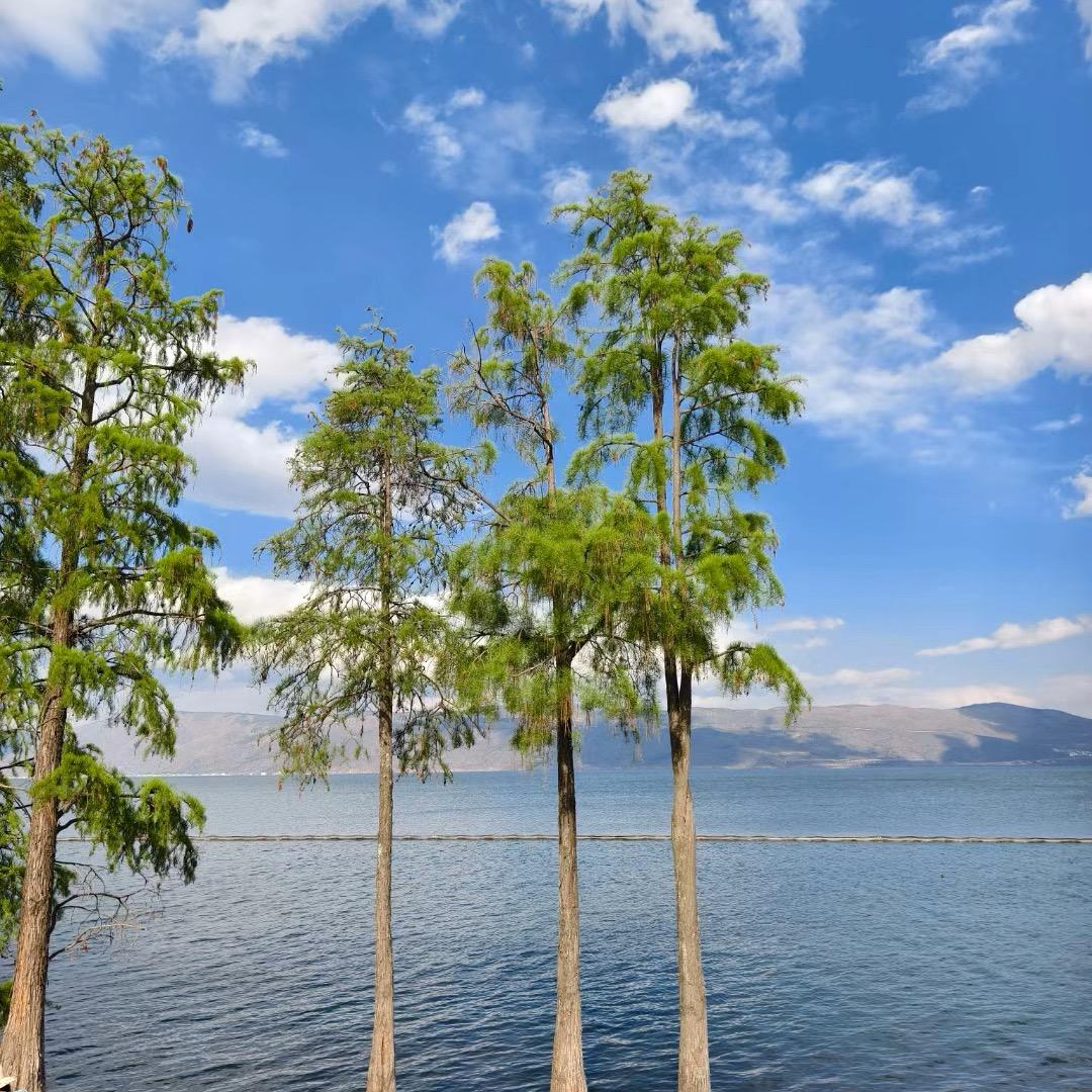 🥷人生何处不相逢