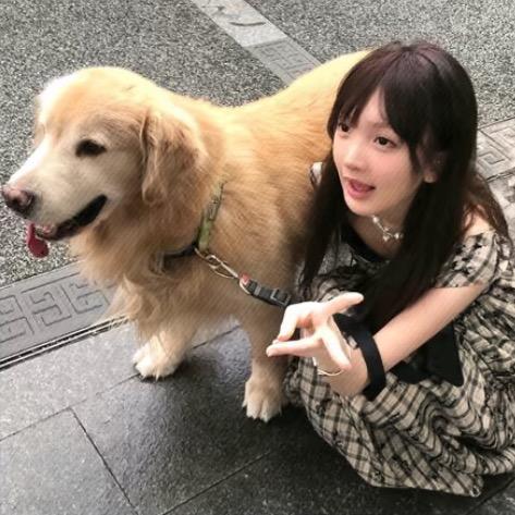 O椰