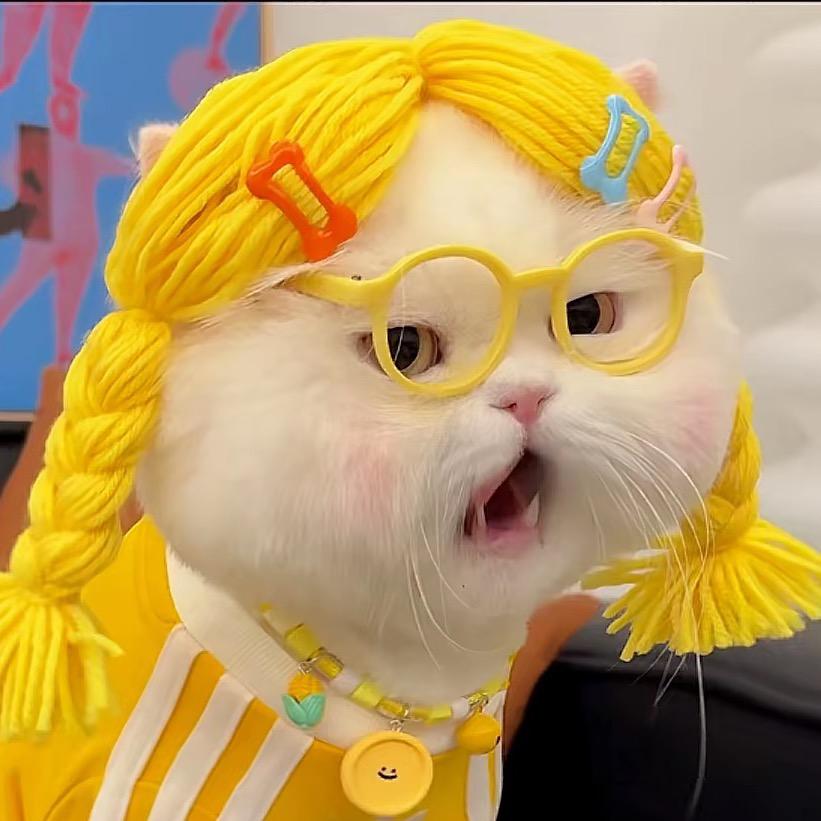 忒垮🤦🏻‍♀️
