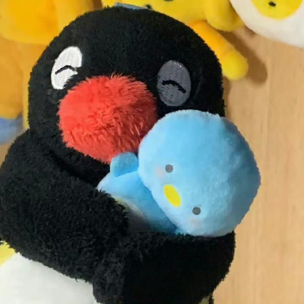 美丽大鲨鱼