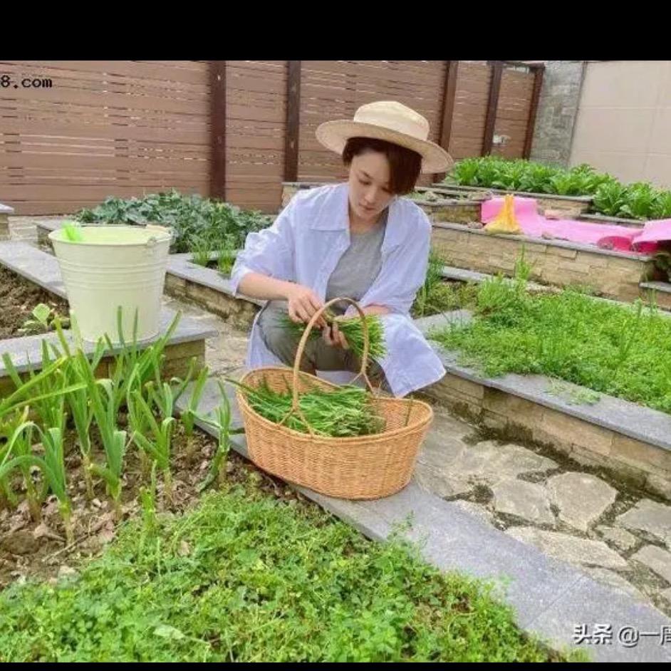 佳家园艺
