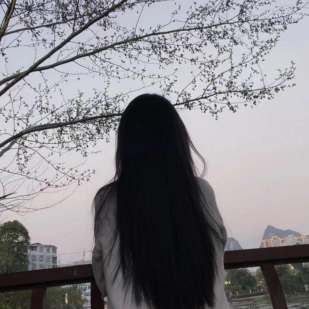 云小猫