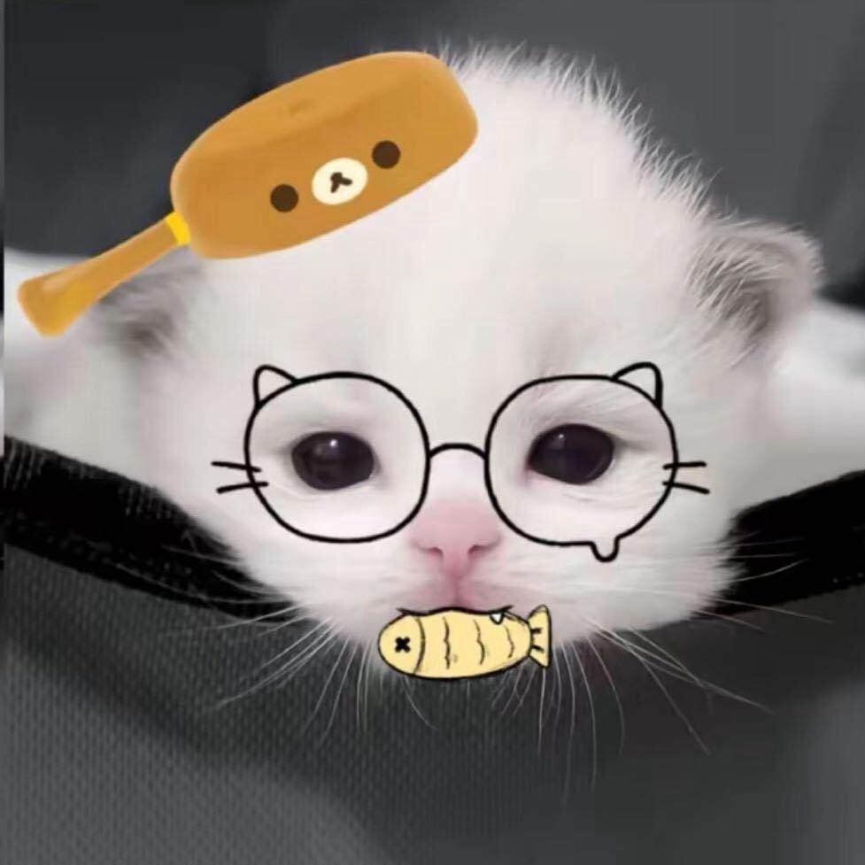 桂圆