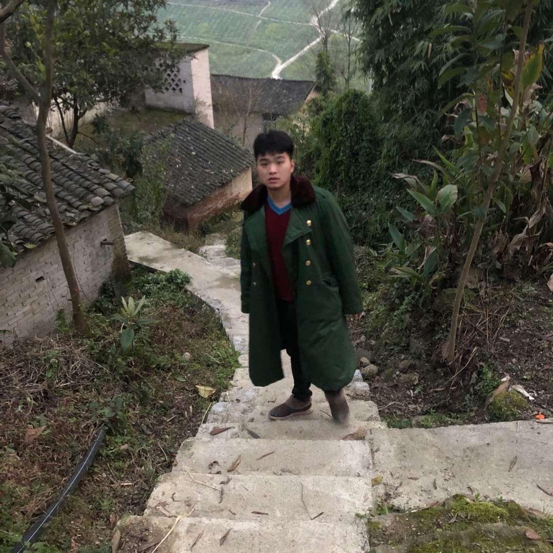 卖猪肉的大象