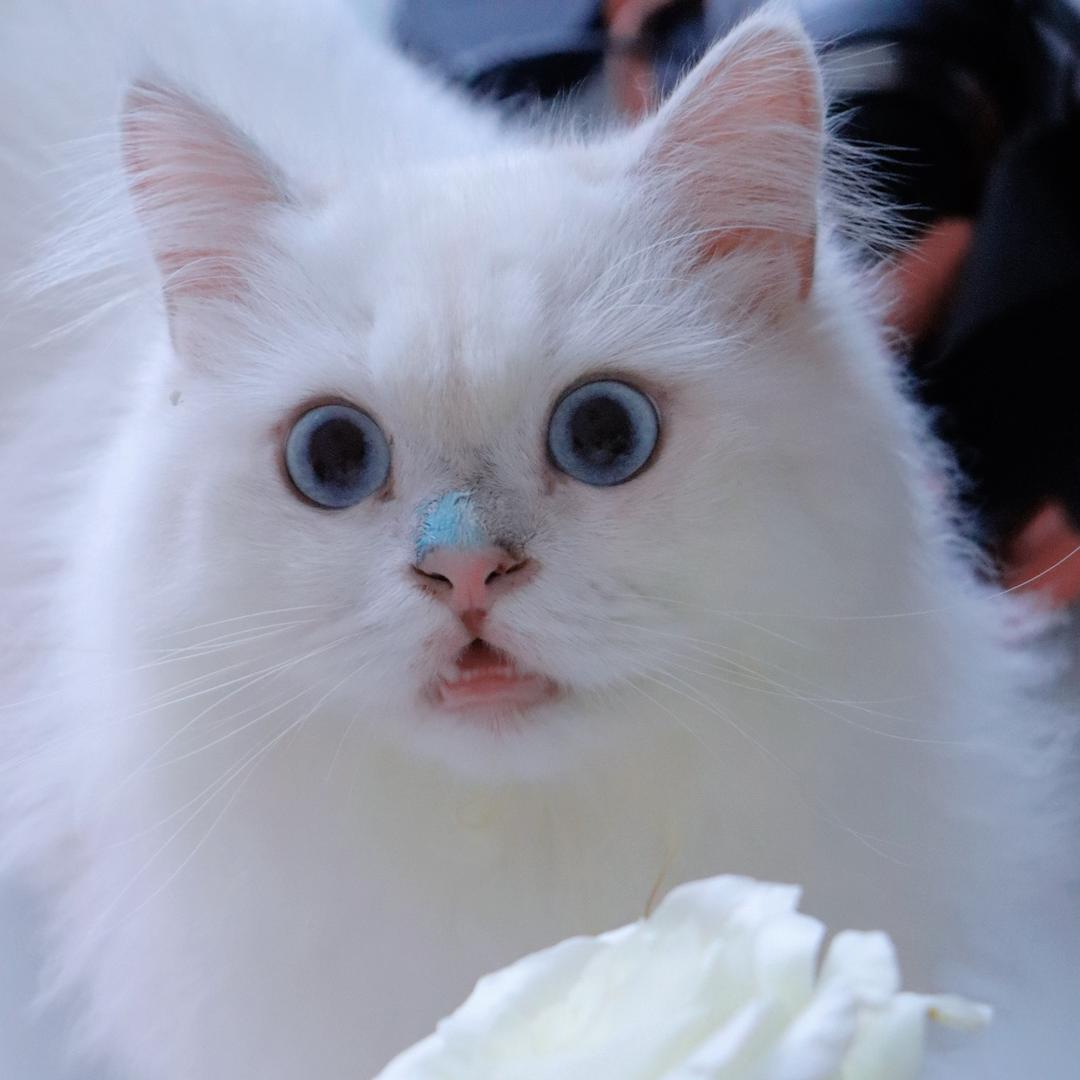 说的就是你