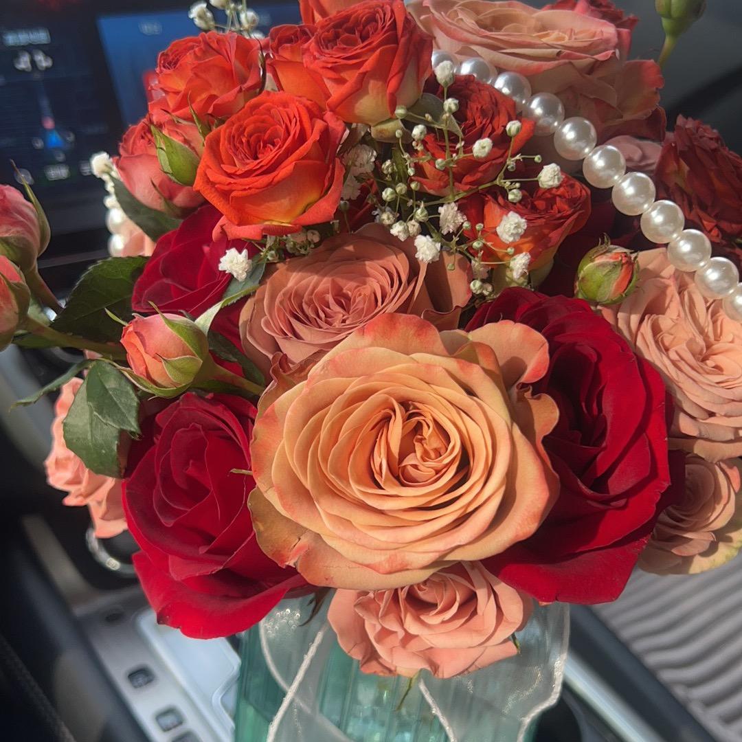 傲娇的提拉米苏