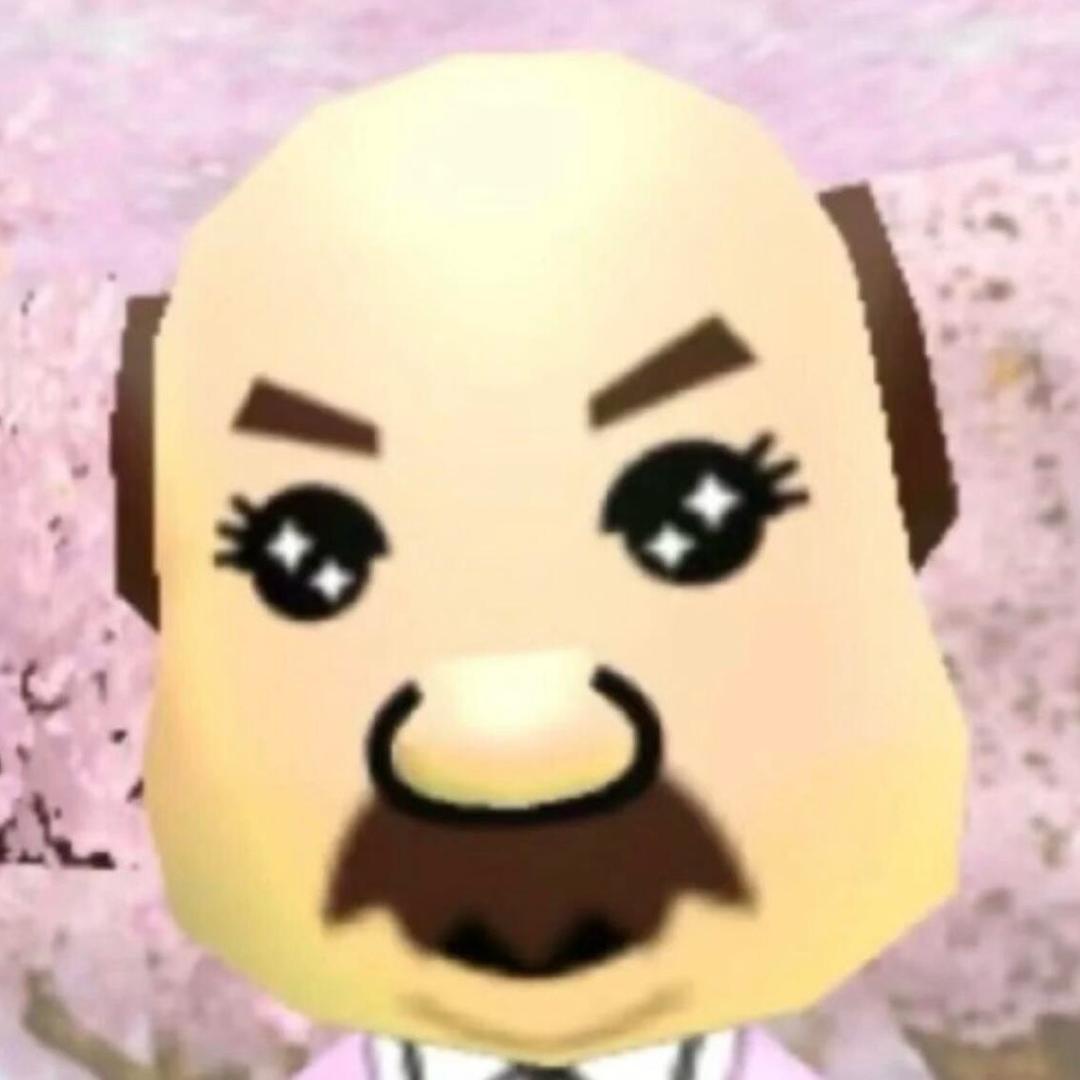 洋甘菊子