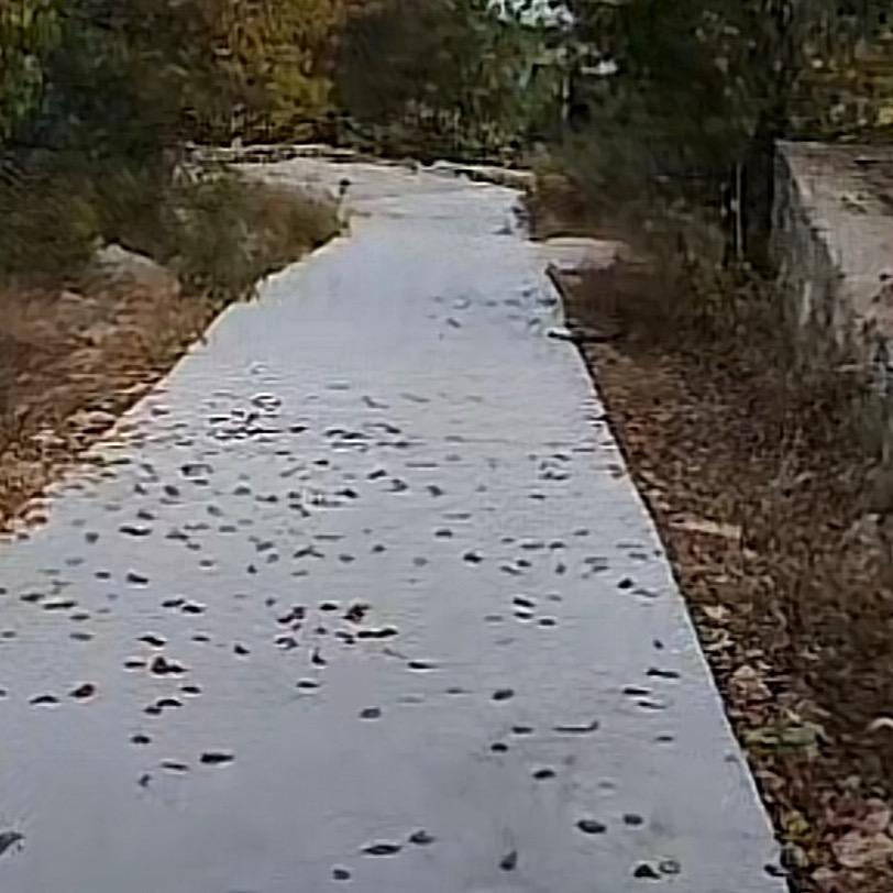 白天