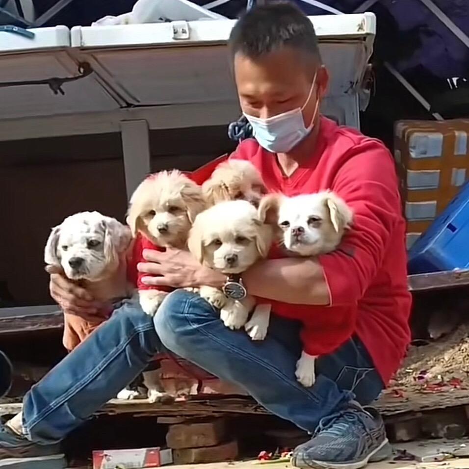 小白和小黄一家