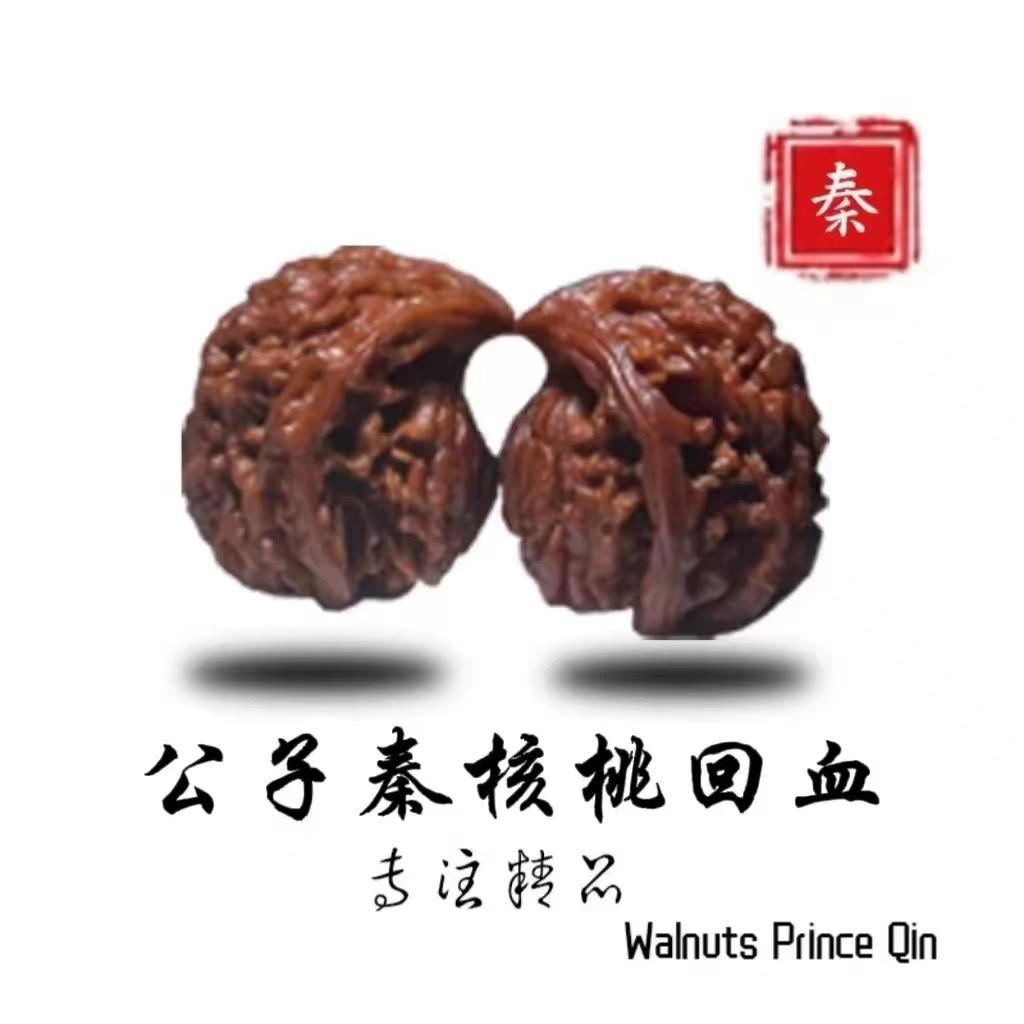 公子秦（核桃回血）
