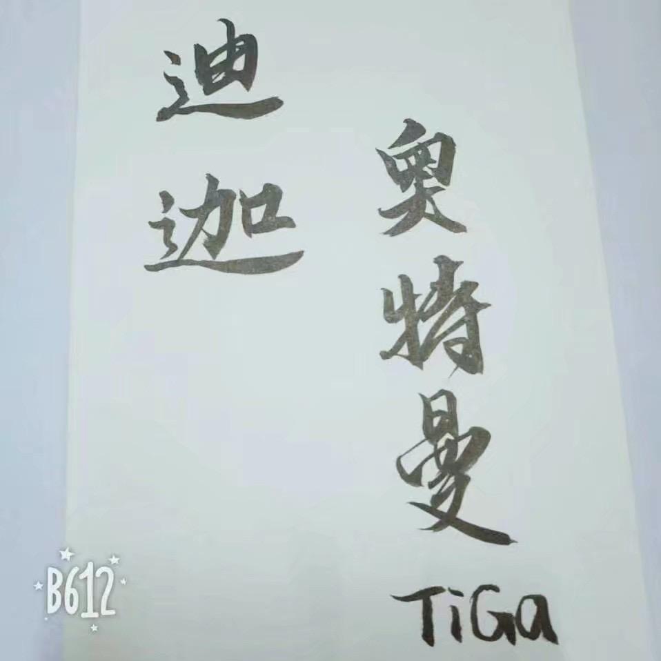 丶TiGa