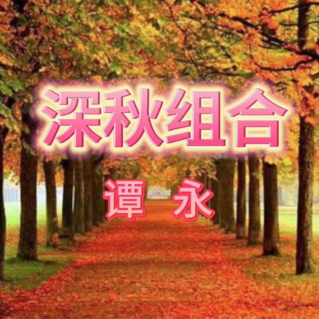 深秋组合-谭永