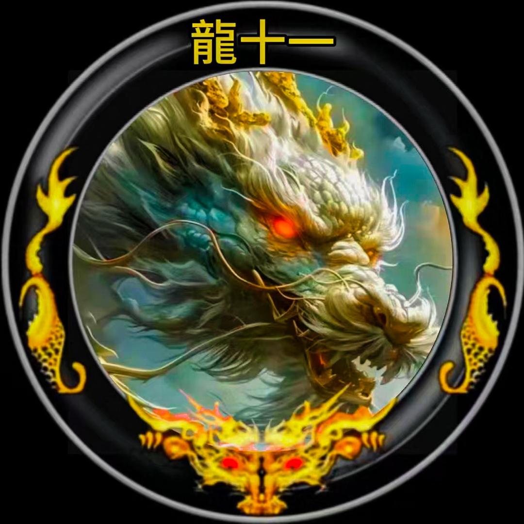 龍十一《鑫哥》