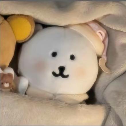 11点睡觉💤