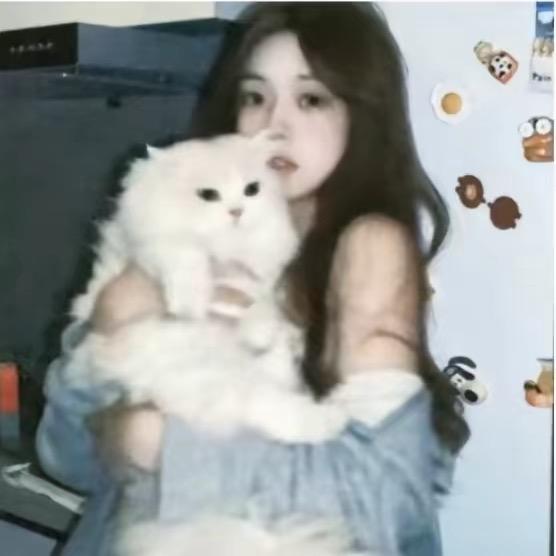 𝟳𝙞𝙠𝙤.🐾 🐾