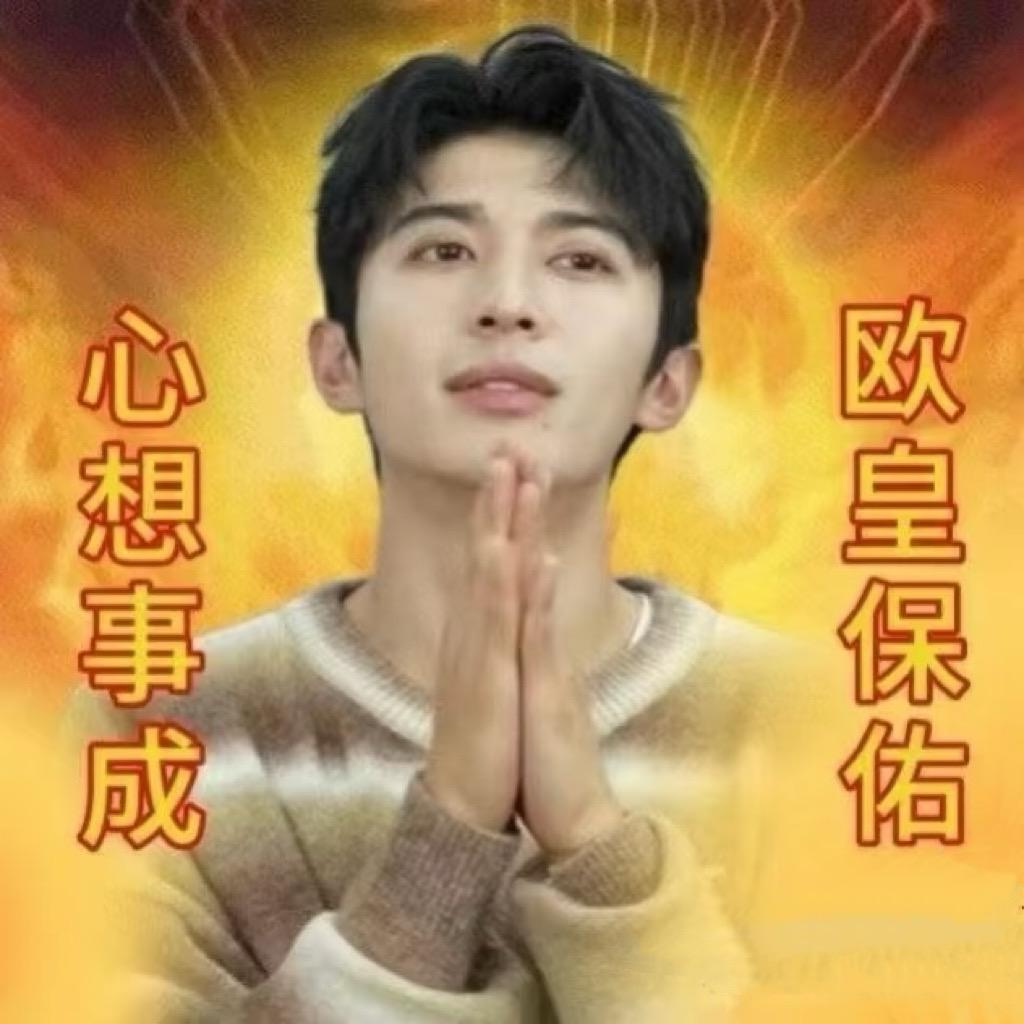 鱼翅🐠