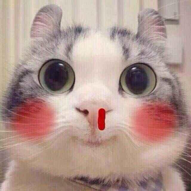 小小小团团