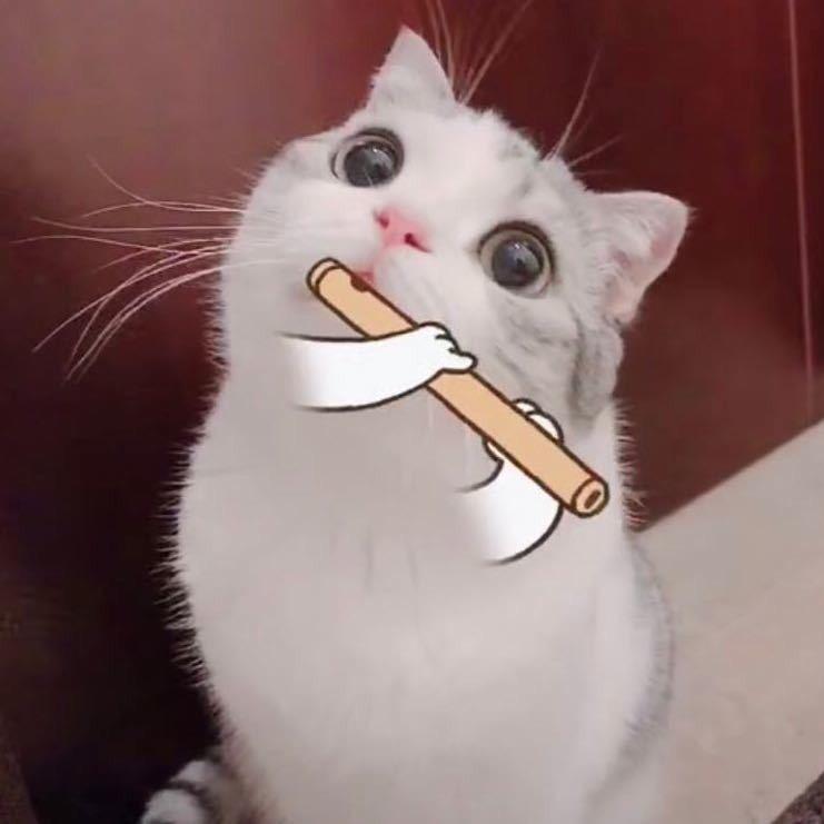 静静AI