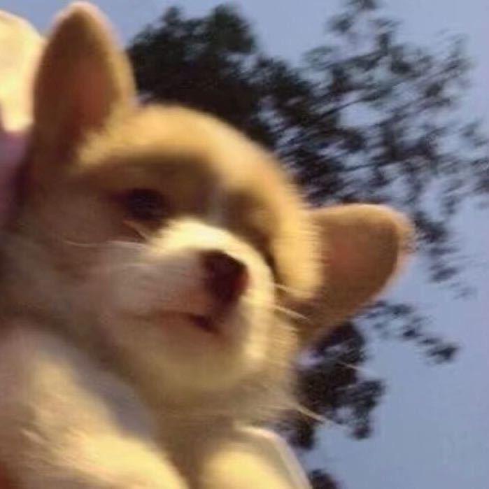 ⠀