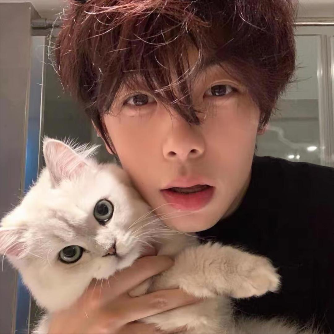 四川最锋利的🗡️