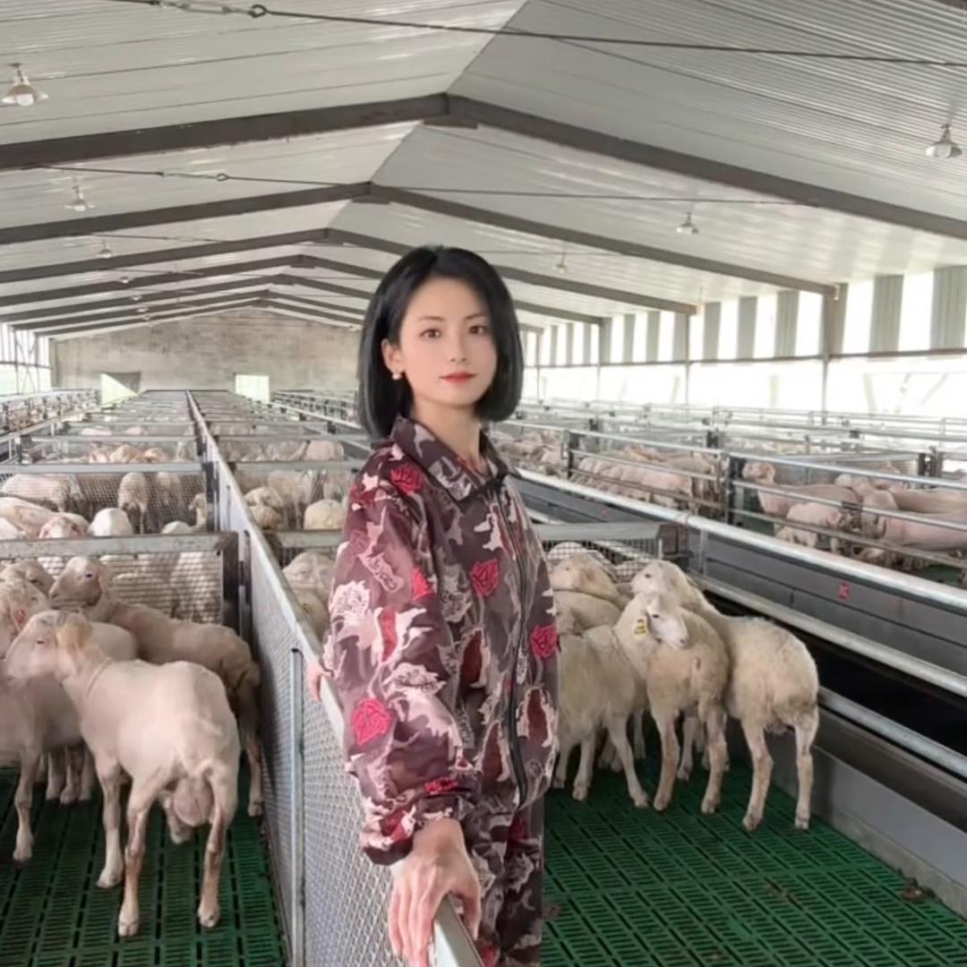 萧山羊姐