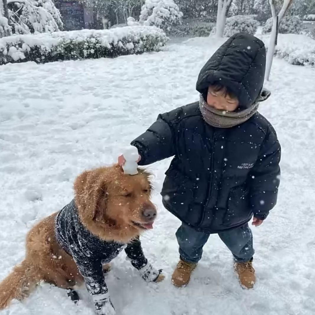 致以诚