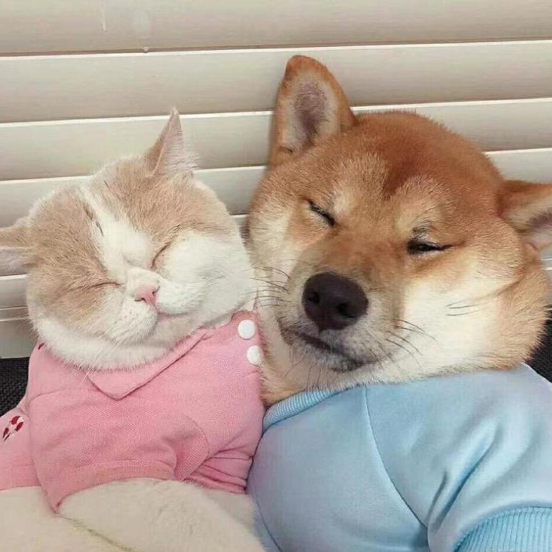 三角洲纯绿跑刀（迟暮）