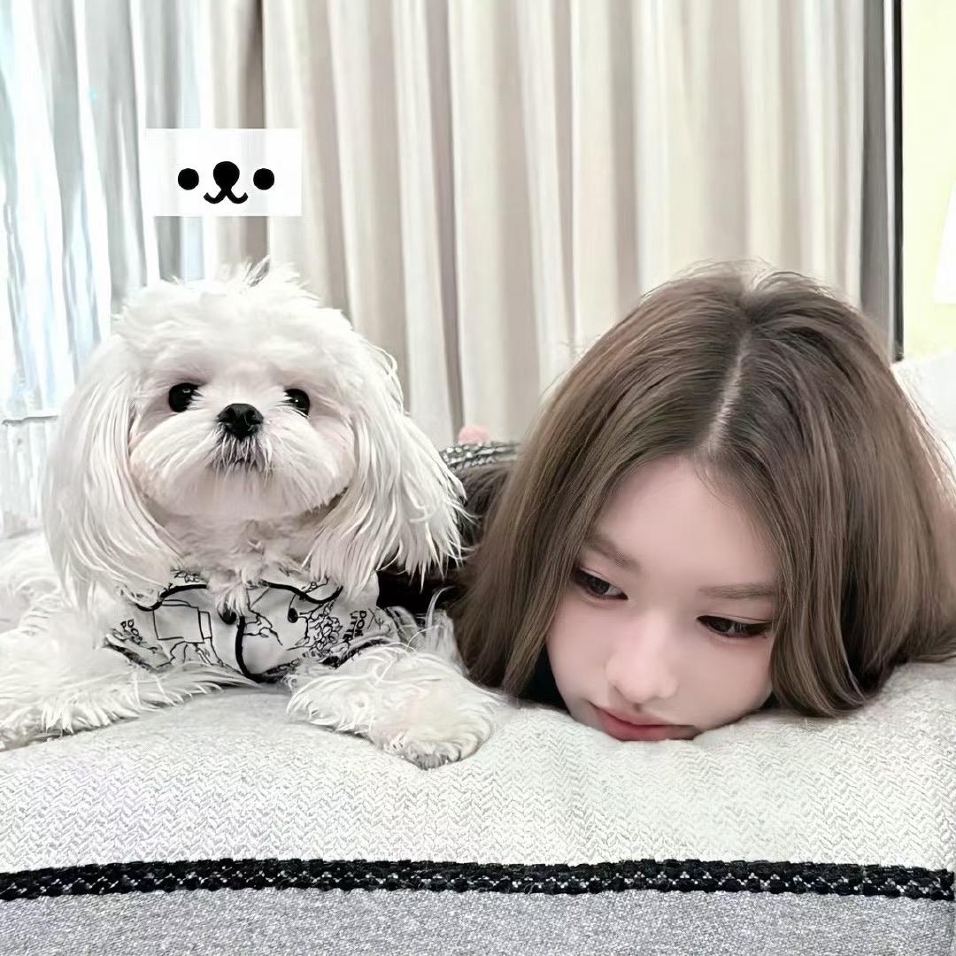 ·李李