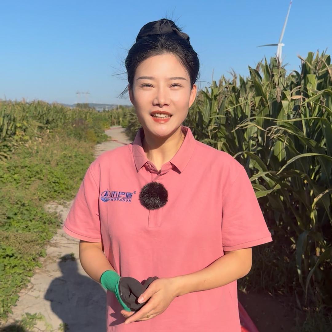 农技服务小王（商品在橱窗）