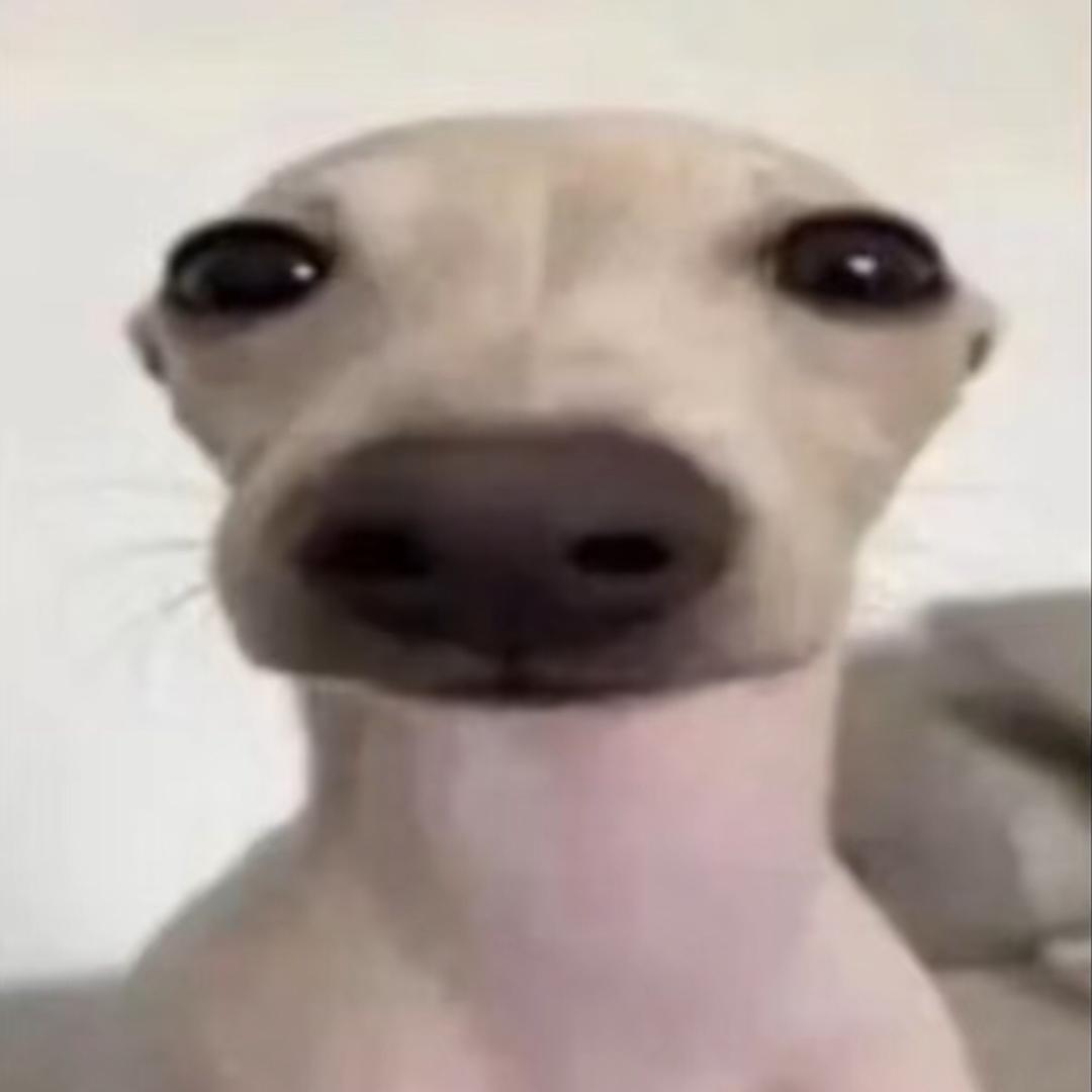 小周