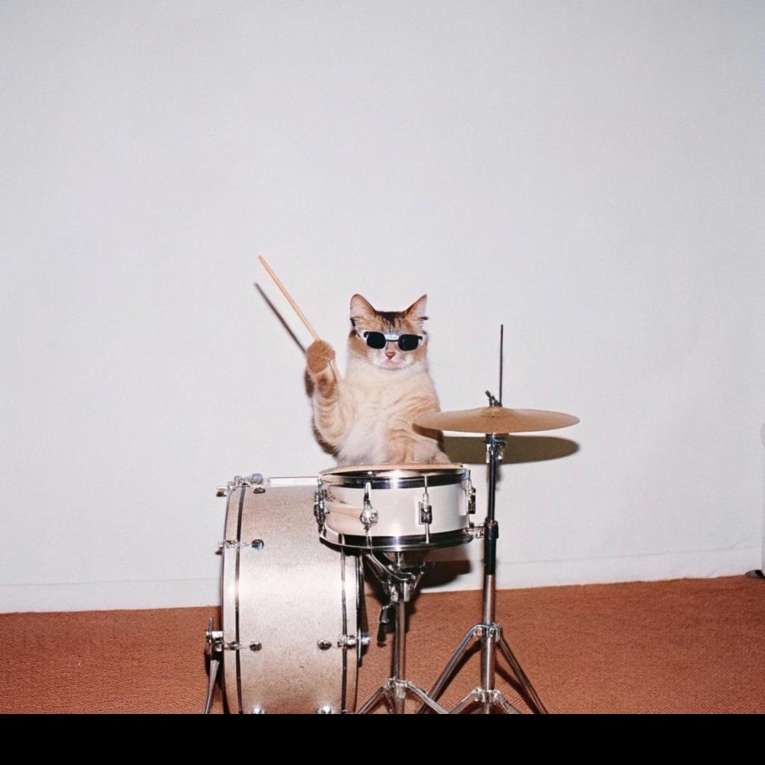 嘉兴王晶艺术中心架子鼓教育