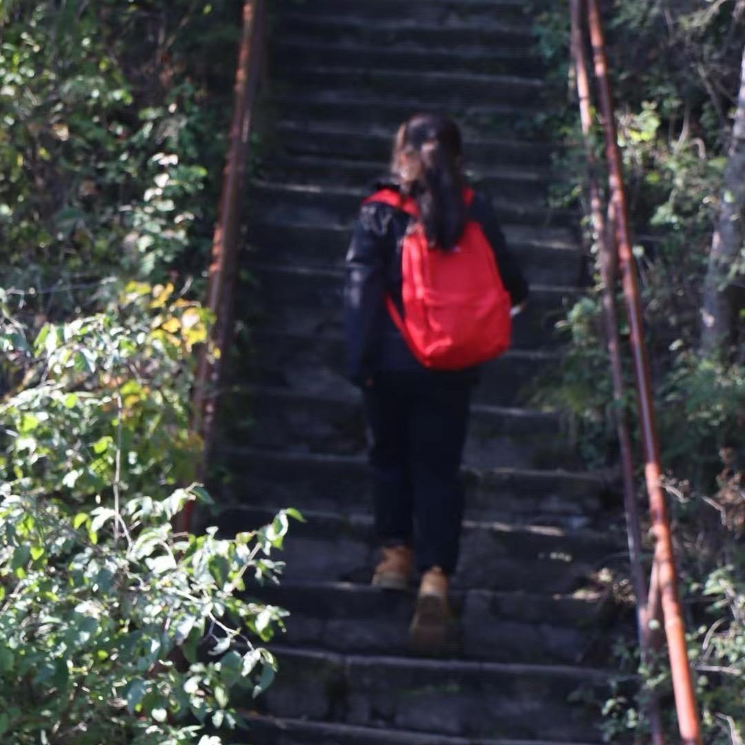 Z🔆