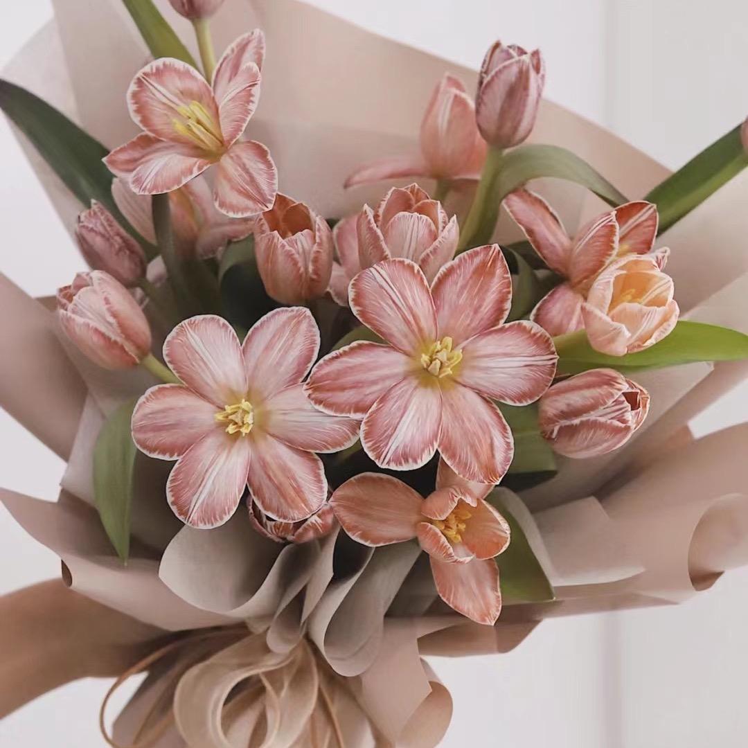 草莓味的糖宝儿👧