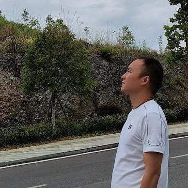 妙手杨老师