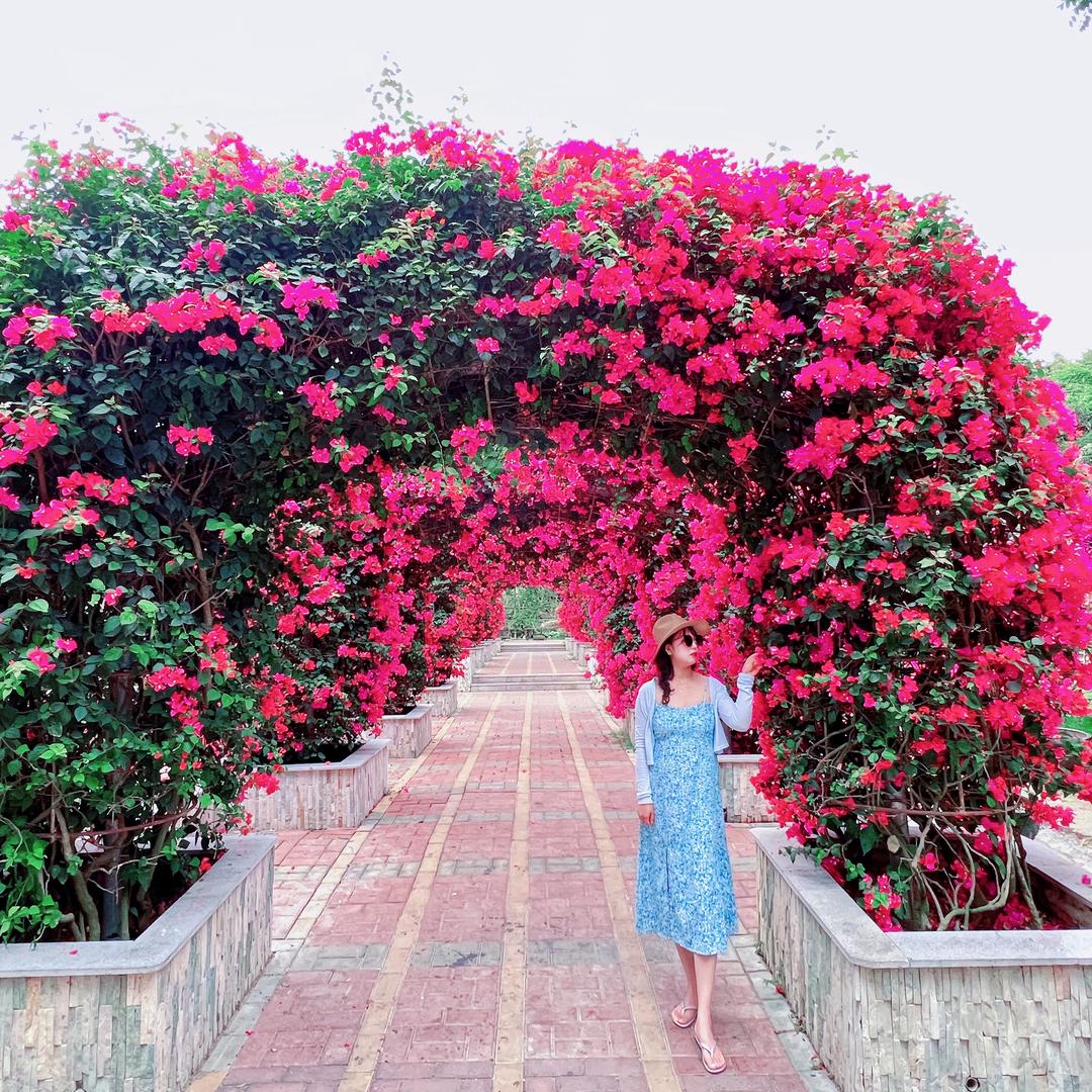 😊微笑～向暖☀️